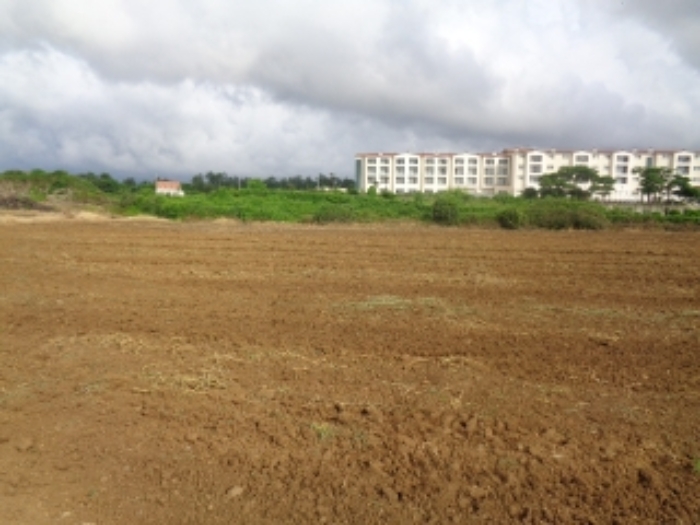 소재지5(협재리 1256) 전경 사진