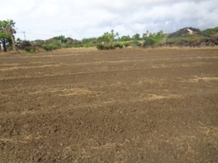 소재지6(협재리 1261-2) 전경 사진