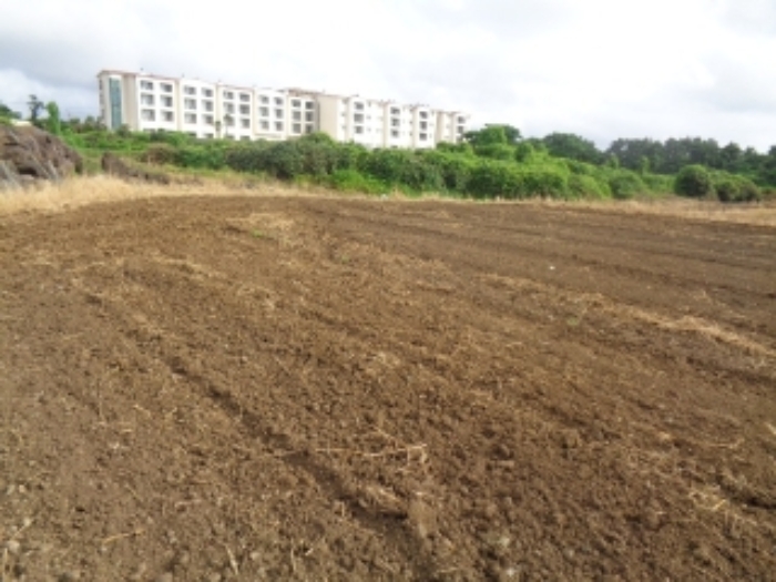 소재지6(협재리 1261-2) 전경 사진