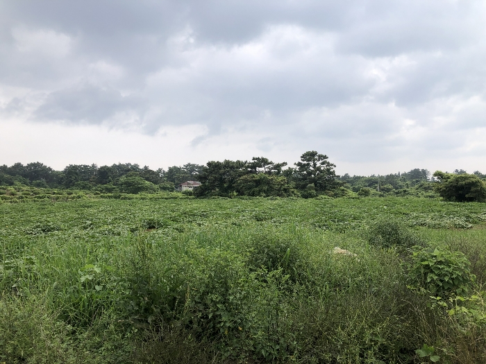 기호 4,5 북동측 전경