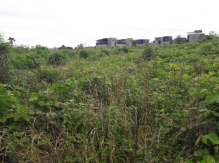 소재지1.(태흥리 80-19) 