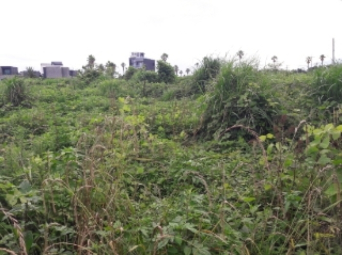 소재지2.(태흥리 82-1) 