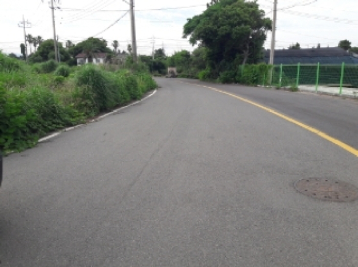 본건 부동산 인접 도로 전경