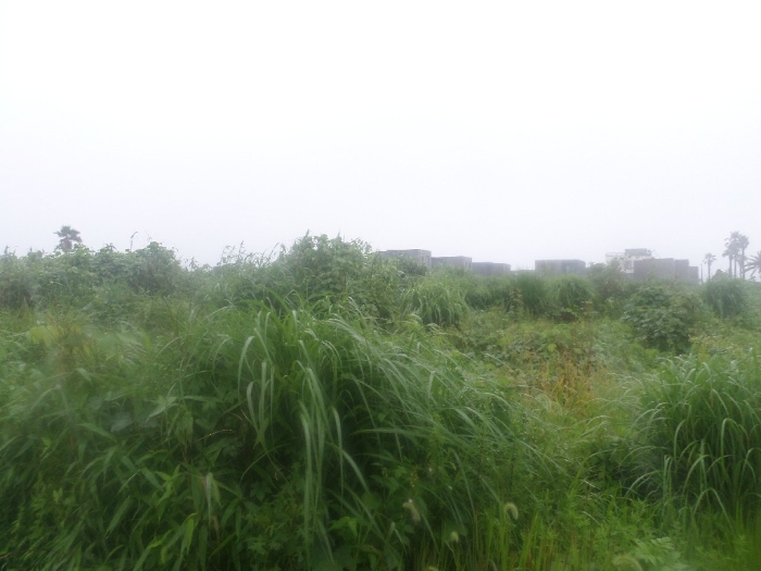 기호(1), (2) 전경