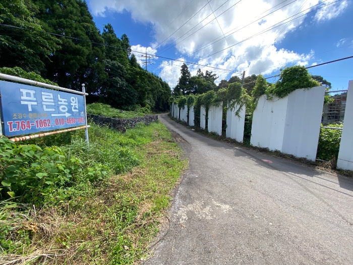 북측 접면도로 및 주위환경