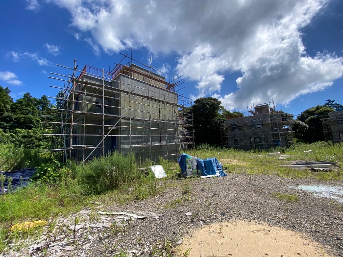 일련번호 1 현황