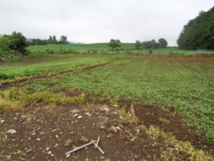 소재지1(동광리 1550) 전경 사진