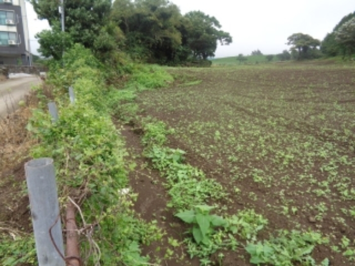 소재지2(동광리 1550-3) 전경 사진