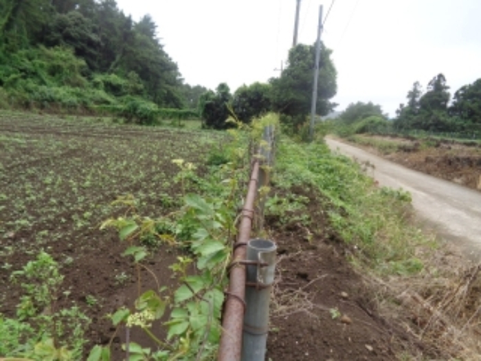 소재지2(동광리 1550-3) 전경 사진