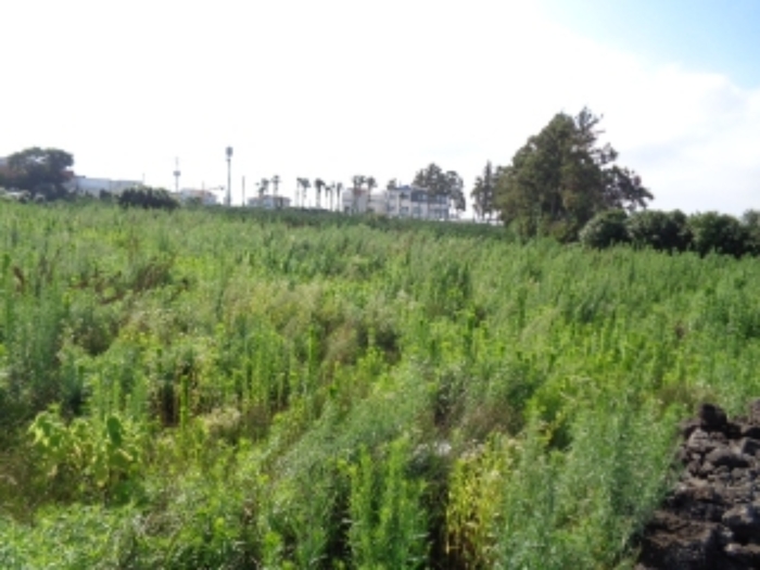 본건 소재지 전경사진