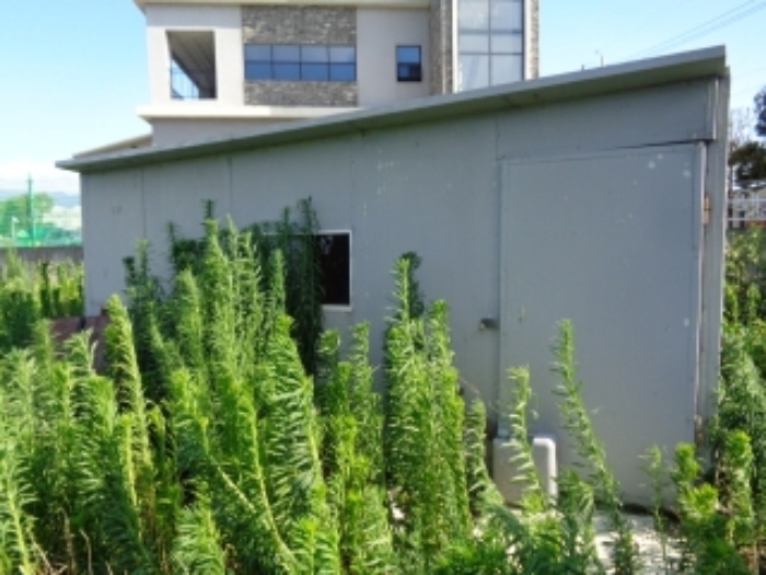 본건 지상 제시외 건물(ㄱ)