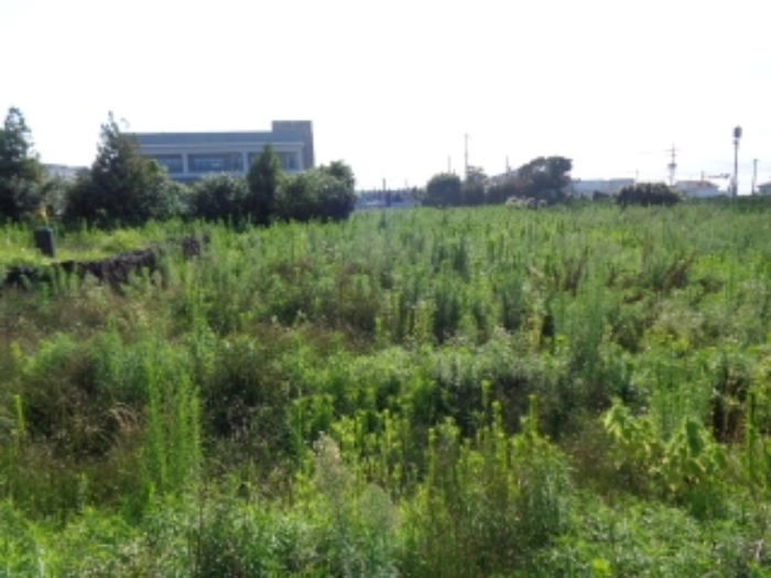 본건 소재지 전경사진