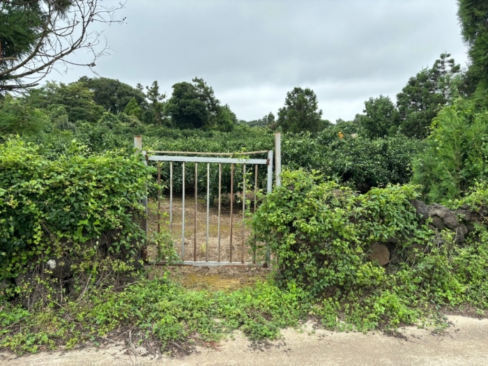 일련번호 1) 전경