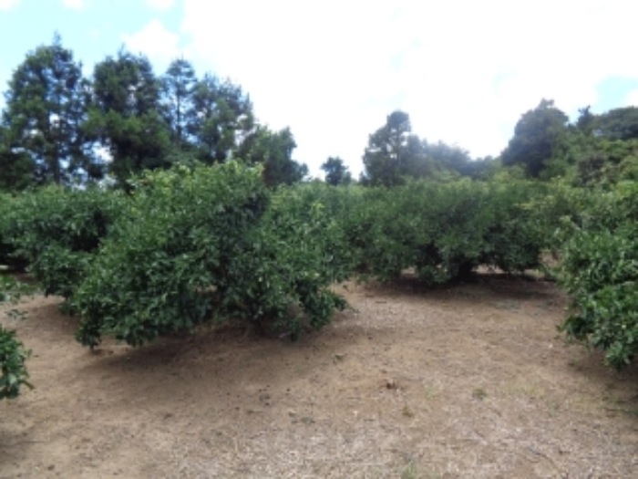 소재지1(낙천리 221) 전경 사진