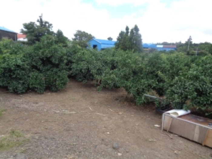 소재지2(낙천리 222) 전경 사진