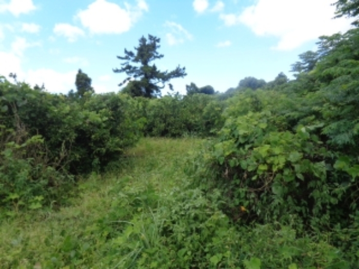 소재지3(낙천리 224) 전경 사진