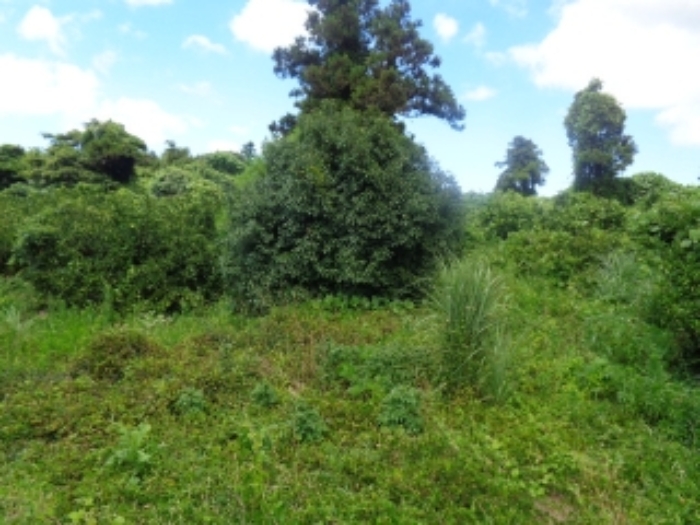 소재지3(낙천리 224) 전경 사진