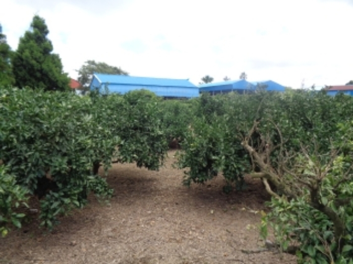 소재지4(낙천리 238) 전경 사진