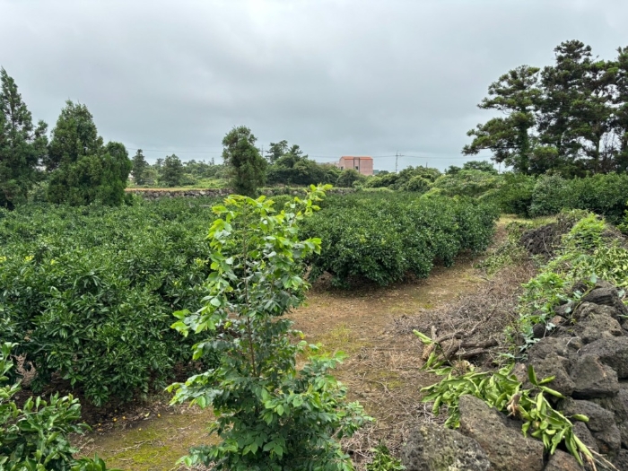 일련번호 1) 전경