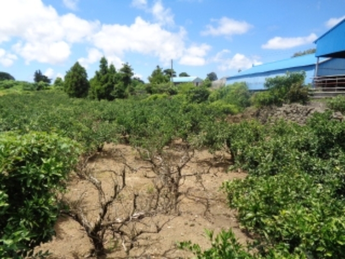 소재지4(낙천리 238) 전경 사진