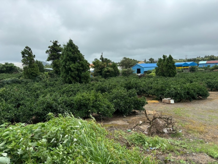 일련번호 2) 전경