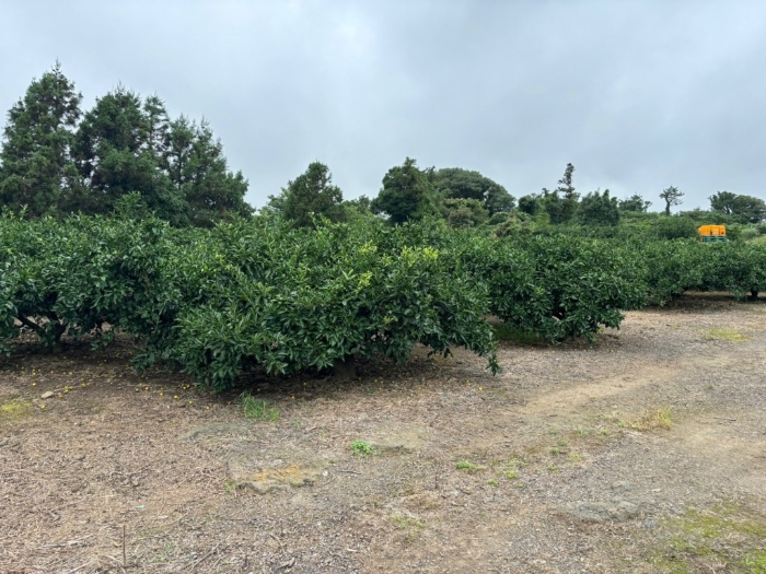 일련번호 2) 전경