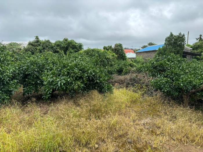 일련번호 3) 전경