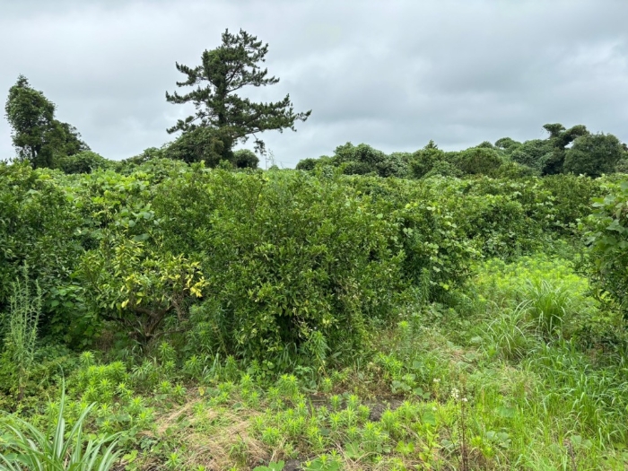 일련번호 3) 전경