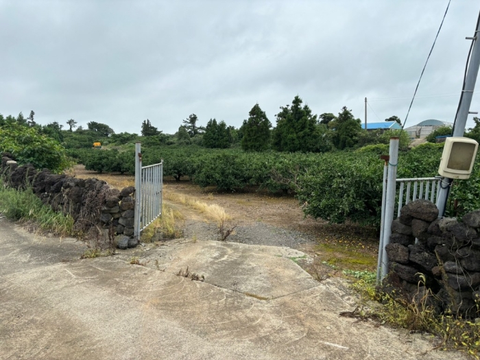 일련번호 4) 전경