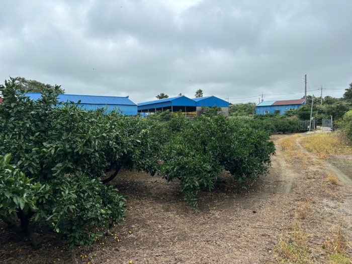 일련번호 4) 전경