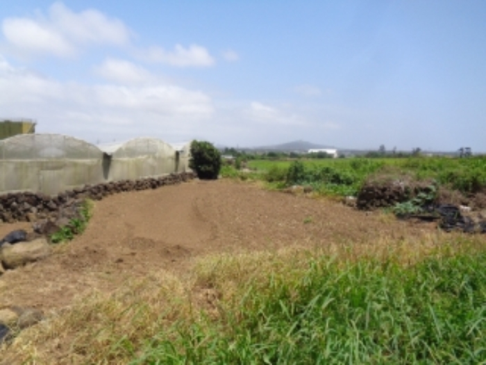 본건(무릉리 2941-1)소재지 전경 사진