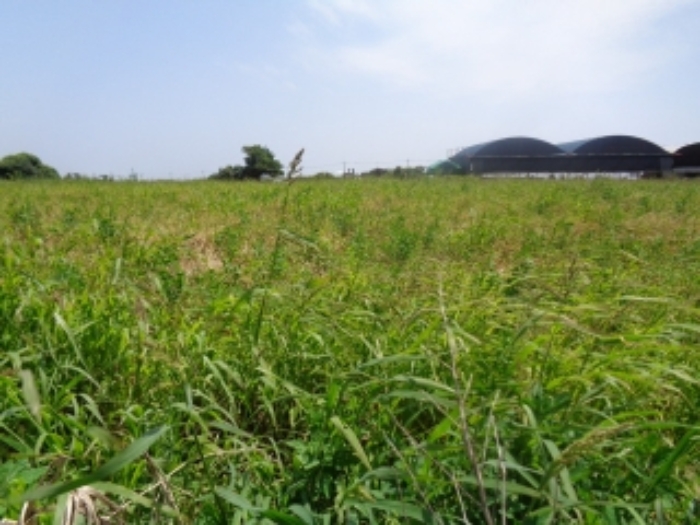 본건(무릉리 2941-1)소재지 전경 사진