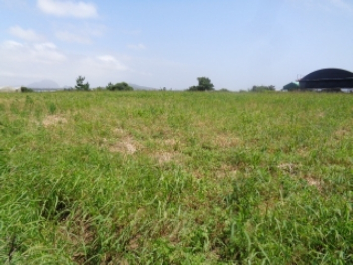 본건(무릉리 2941-1)소재지 전경 사진