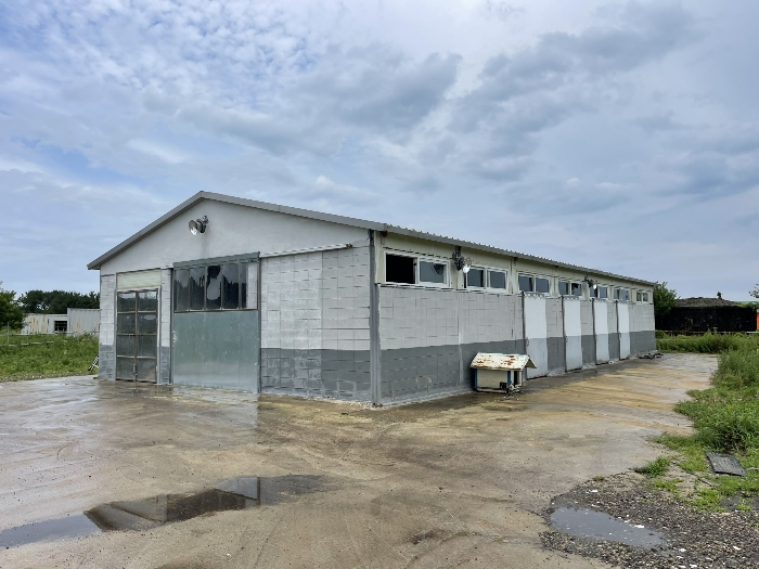 기호(6) 지상 제시외건물(ㄴ)