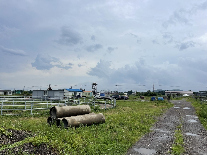 기호(1) 전경
(촬영위치 : 본건 북서측)