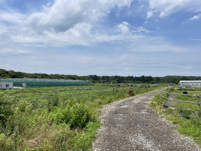 기호(2) 전경
(촬영위치 : 본건 남동측)