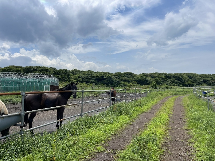 기호(5) 전경
(촬영위치 : 본건 동측)