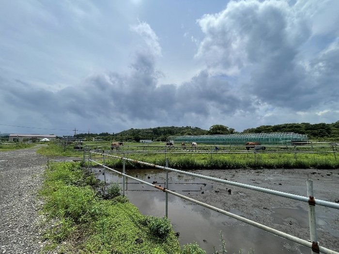 기호(2) 전경
(촬영위치 : 본건 북동측)