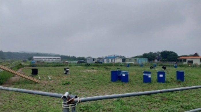 소재지1(교래리 산60-45) 전경