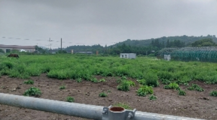 소재지2(교래리 산60-46) 전경