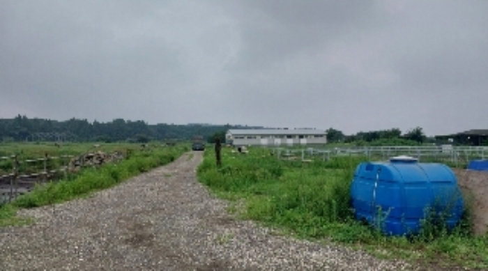 소재지4(교래리 산60-24) 전경