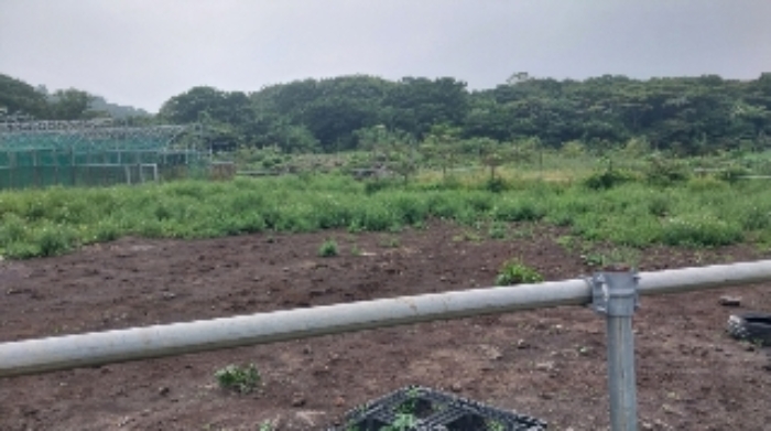 소재지5(교래리 산60-40) 전경