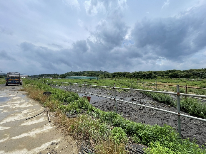 기호(3) 전경
(촬영위치 : 본건 북측)