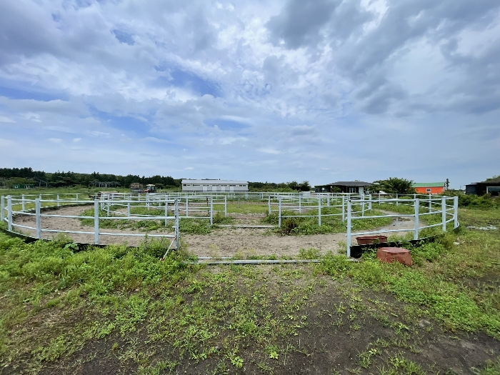 기호(1,4) 지상 승마시설물
(이동이 용이한 것으로 판단되어 평가제외함)