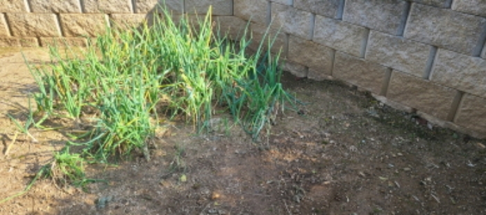 목록 2 토지 전경