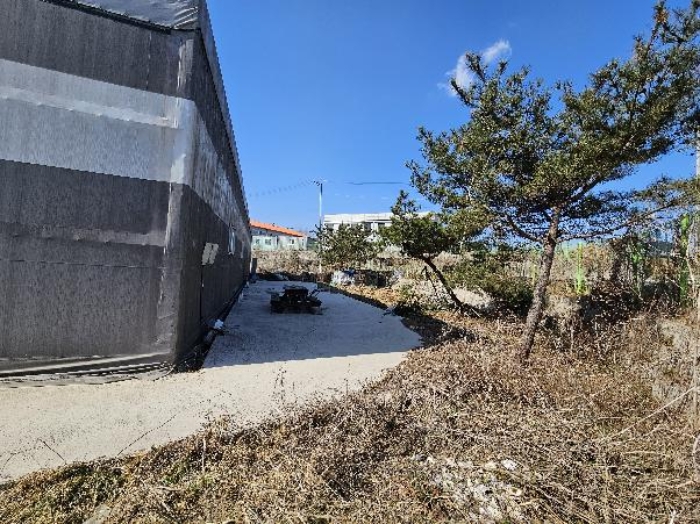 제시 목록 1 및 위지상 제시외 천막구조물  전경