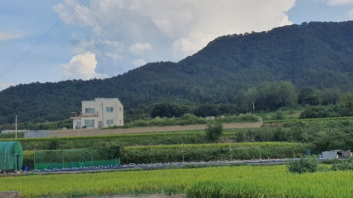 【 본건 전경