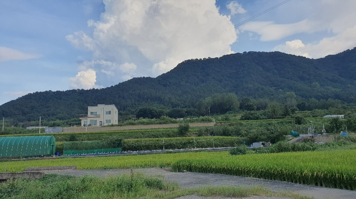 【 본건 전경