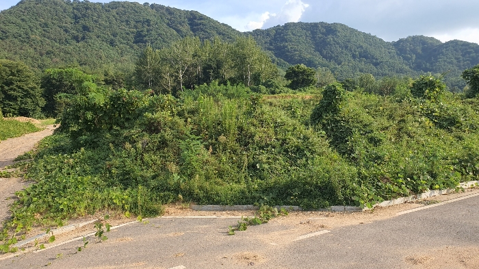 【 일련번호 1