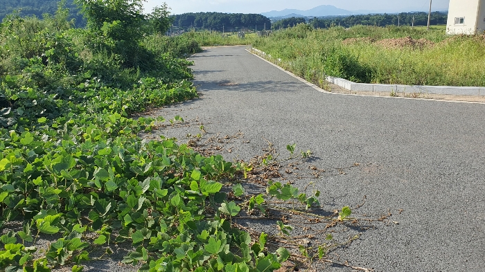 【 일련번호 2